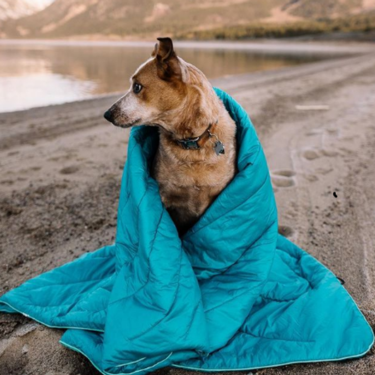 Плед для пикников и путешествий, цвет- бирюзовый вид 3