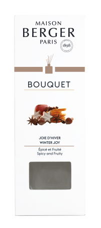 Аромадиффузор 100мл Зимние радости